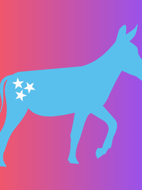 We are seeking a District 13 Representative