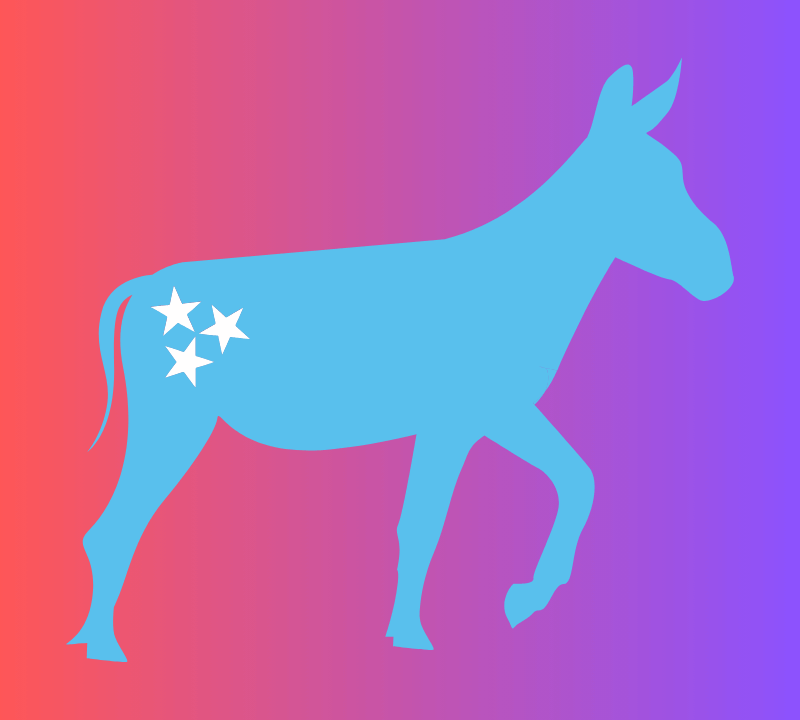 Democrats Condemn Commission Decision to Select District 13 Commissioner Instead of Voters